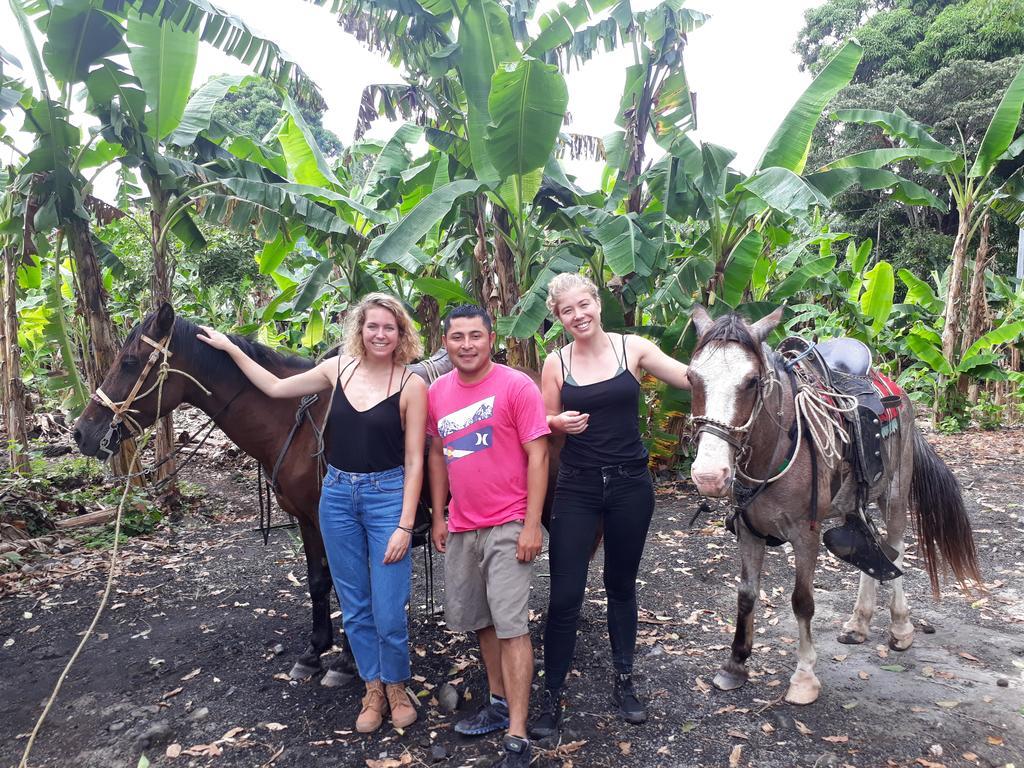 Hospedaje Bananas Guest House Altagracia Exterior photo